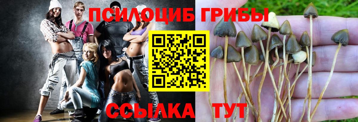 Кимры  закладки  Вход с VPN  Псилоцибиновые грибы мицелий 