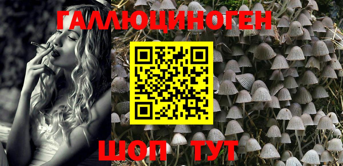 Псилоцибиновые грибы MAGIC MUSHROOMS Кимры